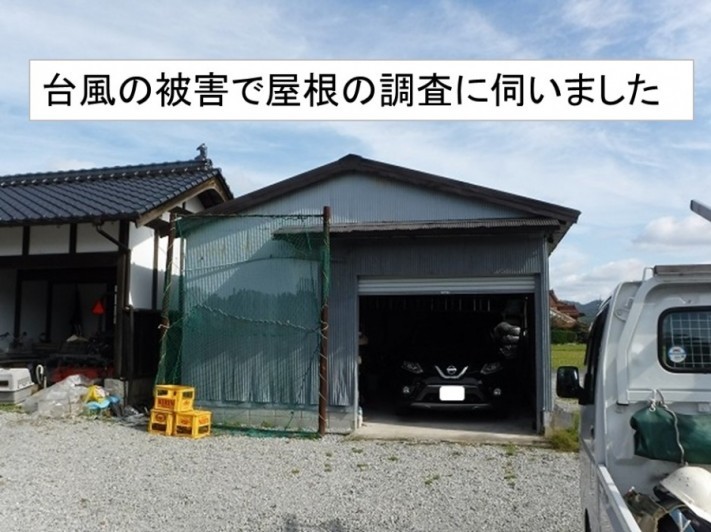 現地調査