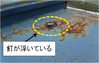 板金屋根釘が浮いている