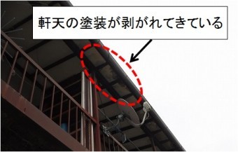 アパート瓦棒軒天剥がれ