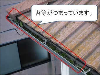 軒樋こけ詰まり