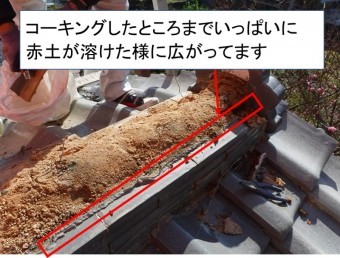棟赤土広がり