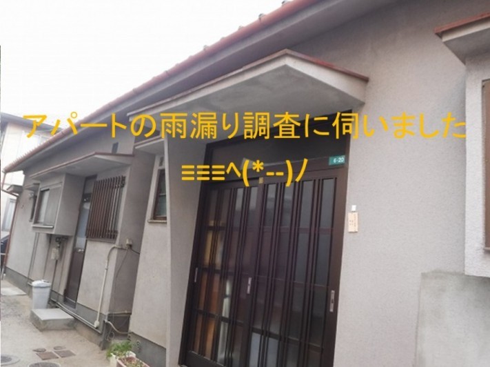 呉市雨漏り調査