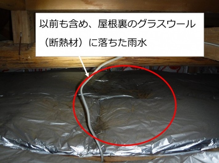 屋根裏調査