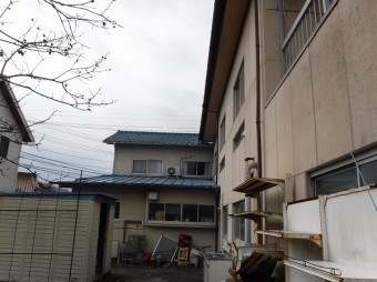 現地調査