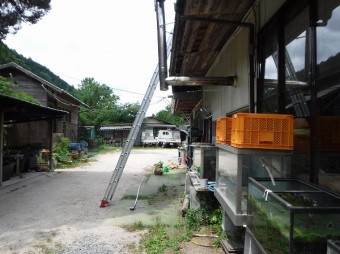 食堂屋根増築
