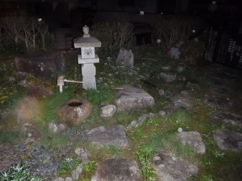 庭の雑草を取り除きたい