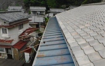 瓦棒現地調査