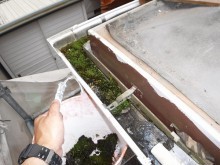 軒樋苔詰まり
