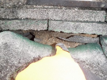 陸棟台土流されて風化