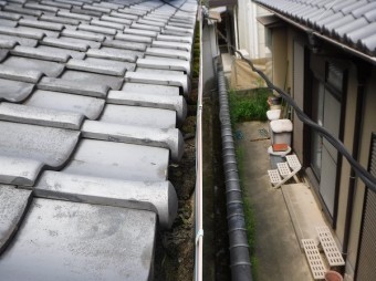 軒樋苔詰まり