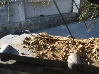 錆びた鉄筋