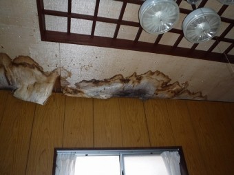 天井雨漏り