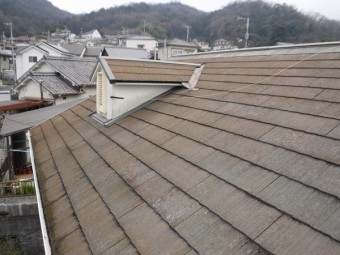 苔の付いた屋根