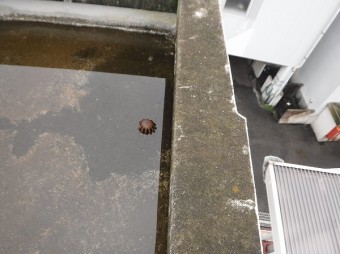 排水ドレン詰まり