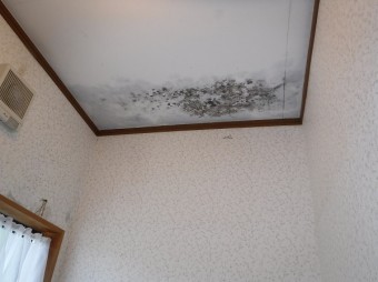 トイレ天井雨漏り