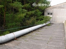 大波スレート掃除前