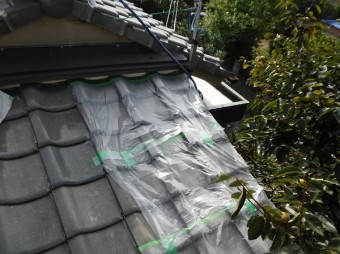 雨漏り調査屋根養生