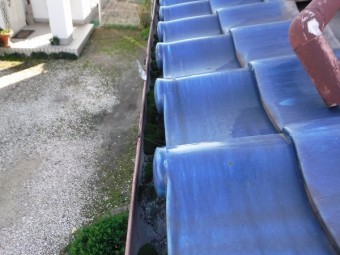 雨漏り現地調査軒樋苔
