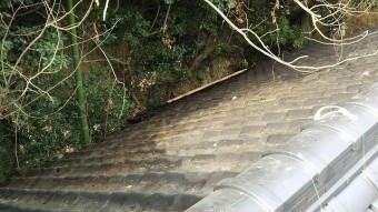 屋根落ち葉掃除完了