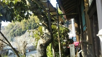 軒先の足場