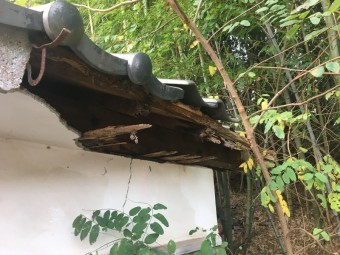 しっくい壁崩落
