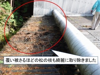松の枝きれいに伐採
