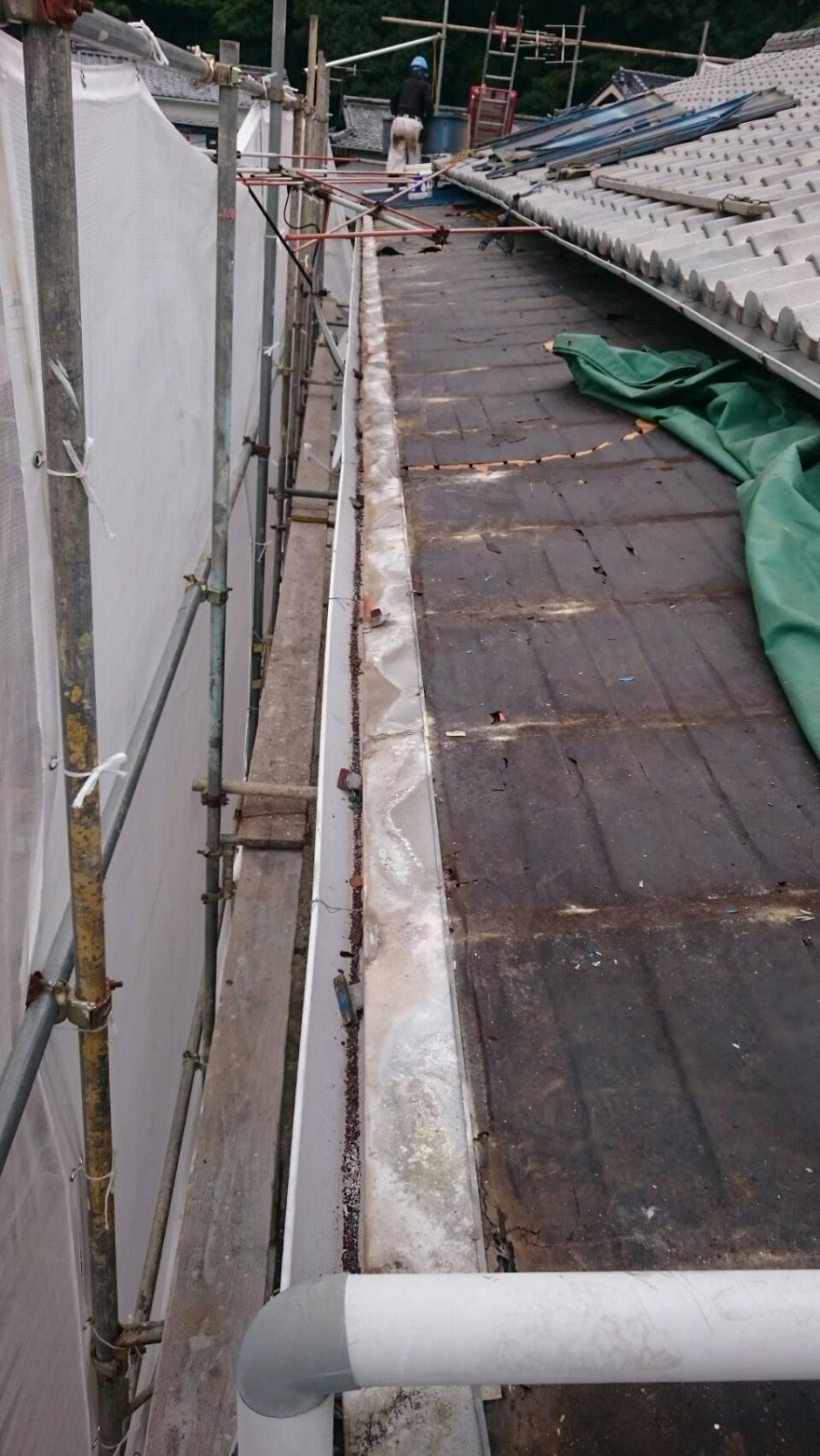 トタン屋根剥いで防水紙