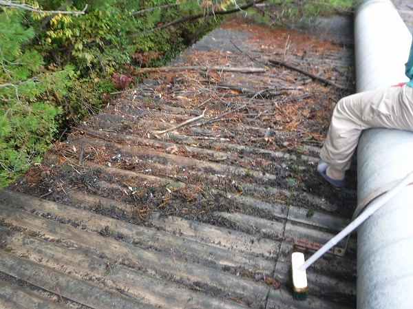 東広島市　工場の大波スレート屋根にて松などの枯れ木を一斉掃除