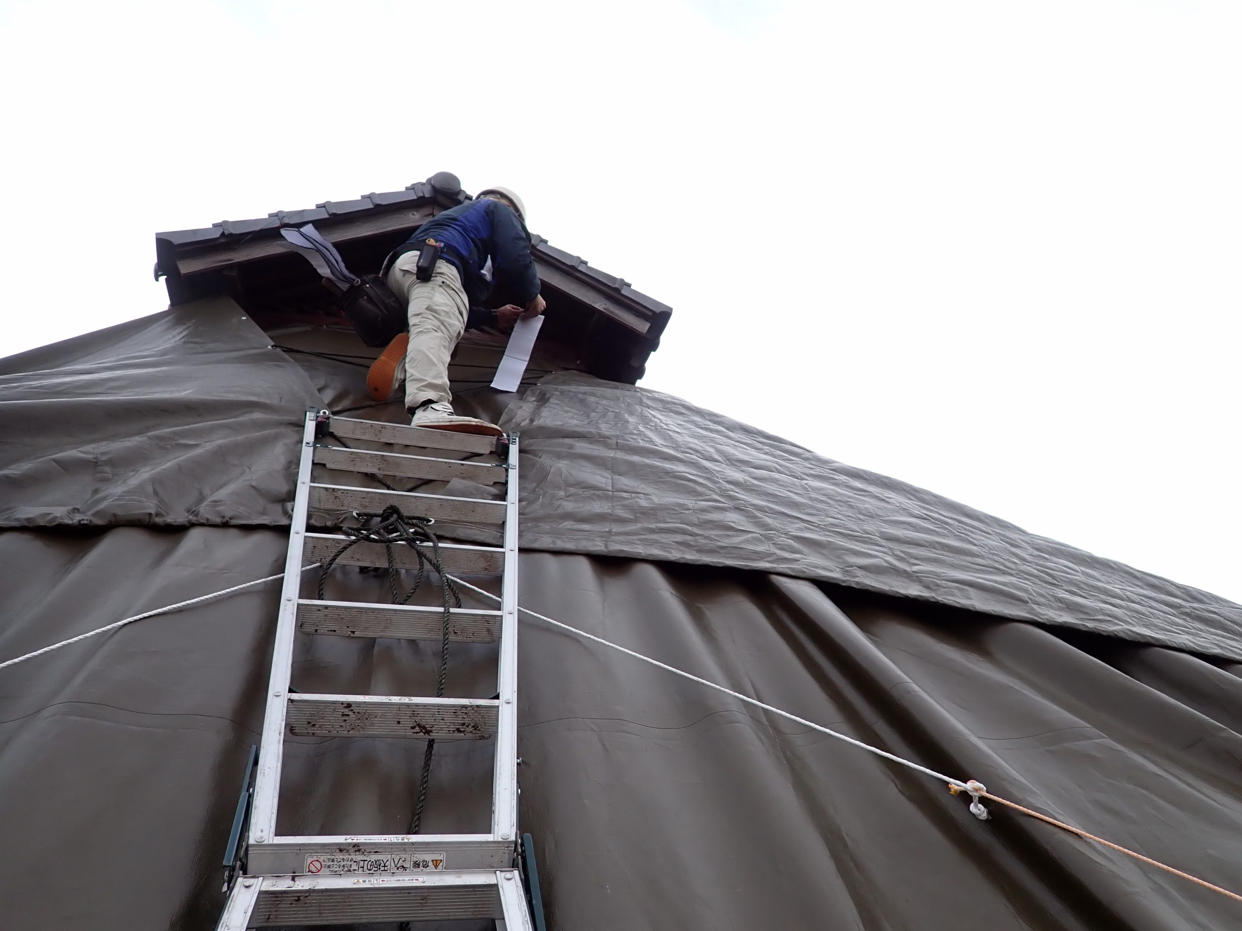 職人によるシート状態の最終確認