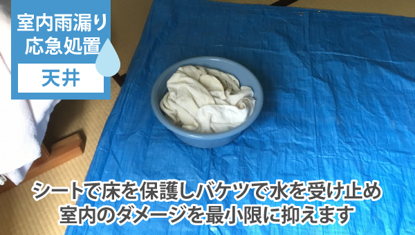 シートで床を保護しバケツで水を受け止め室内のダメージを最小限に抑えます