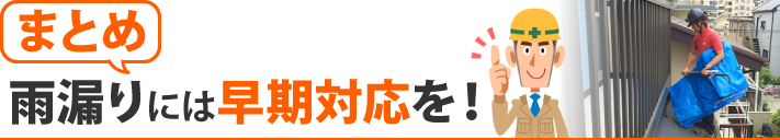 まとめ：雨漏りには早期対応を！